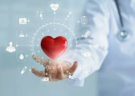 Apcalis Oral Jelly Οδηγός για Χρήση και Ωφέλη