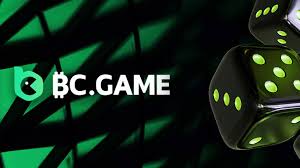 Exploring BC Game Casino Your Guide to Online Gaming