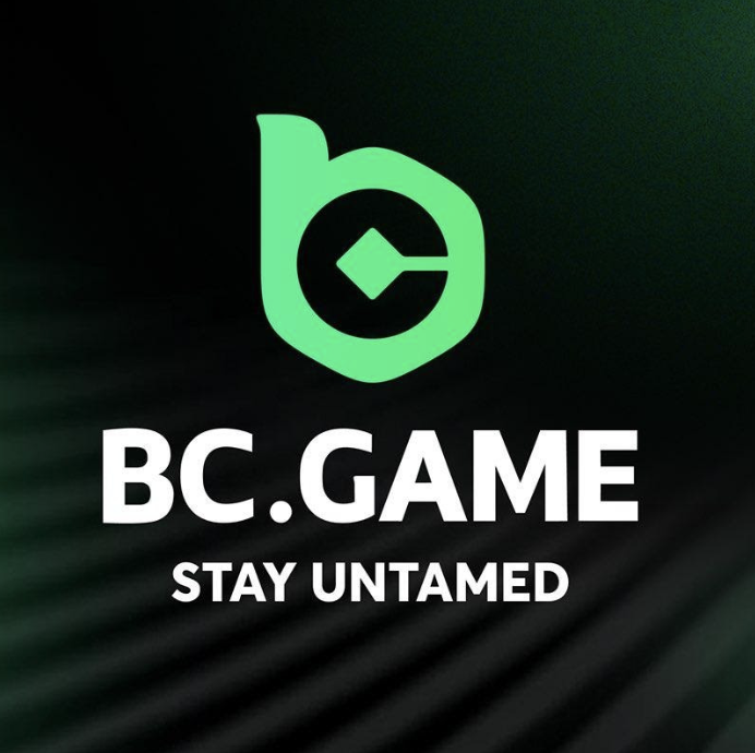 Exploring BC Game Casino Your Guide to Online Gaming